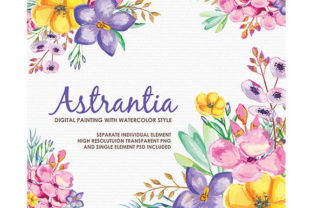 Astrantia Watercolor Floral Style Clipart: A Versatile Artistic Resource