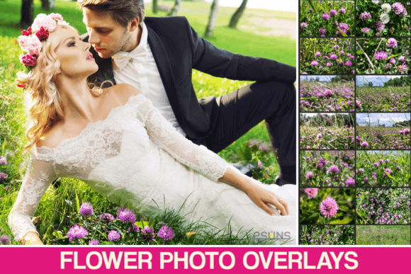 Enhance Your Designs with Download Textures Clover Overlays Flower