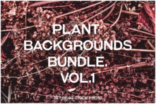Plant Backgrounds for Creative and Professional Use