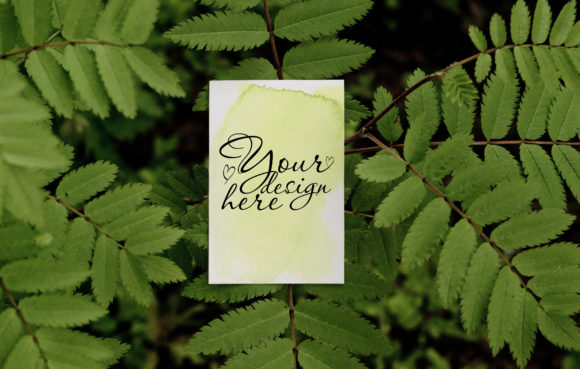 Summer Business Card Mockup on Tree: A Creative Solution for Digital Designers